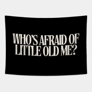 Who's Afraid Of Little Old Me TTPD Tapestry