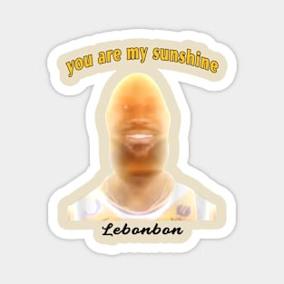 You are my sunshine Lebonbon meme Magnet