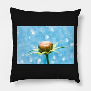 Cosmos Flower Bud Pillow