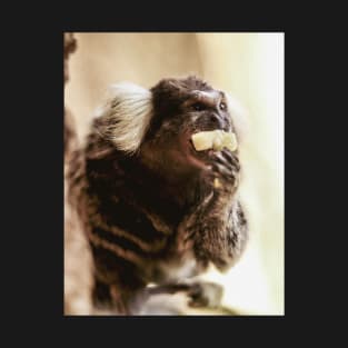 Marmoset | Unique Beautiful Travelling Home Decor | Phone Cases Stickers Wall Prints | Scottish Travel Photographer  | ZOE DARGUE PHOTOGRAPHY | Glasgow Travel Photographer T-Shirt