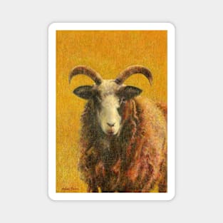 Jacob Sheep On Gold Magnet