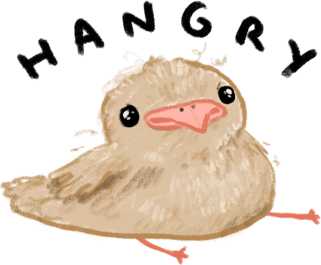 Hangry Chick Kids T-Shirt by Sophie Corrigan