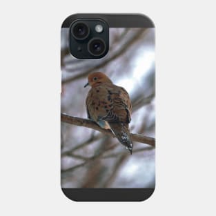 Winter Mourning Dove Perched In a Tree Phone Case