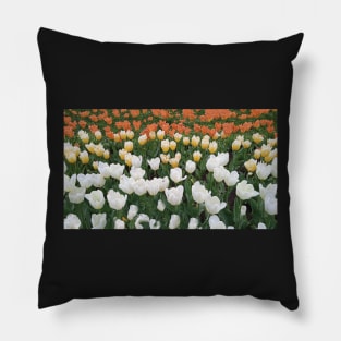 Tulips Pillow