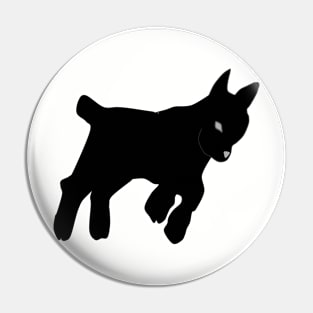 black pygmy goat Pin