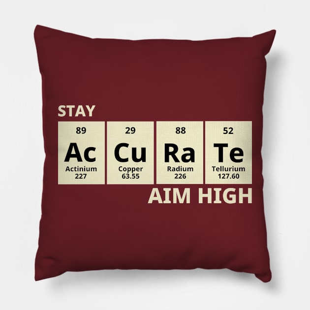 Stay Accurate Aim High Pillow by Texevod