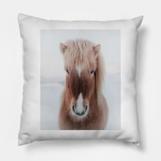 Icelandic Horse Pillow