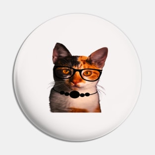 Gato con gafas Pin