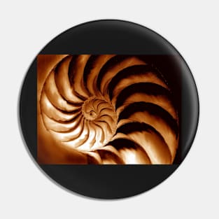 nautilus spiral Pin