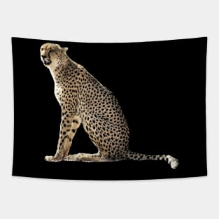 Cheetah in Kenya / Africa Tapestry