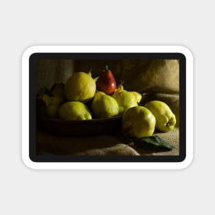 Quinces and the Pear Magnet