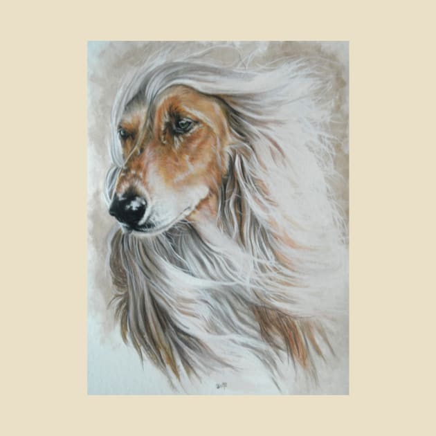 Afghan Hound by BarbBarcikKeith