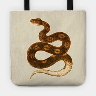 serpent,cobra,reptile,viper,venom,lizard,rattlesnake,king cobra,dragon,hydra,poison,venomous,plumber's snake,pythonidae,pythons,auger,python,squamata,serpentine,worm,big,ophidian,rattlesnakes,medusa,snakebite Tote