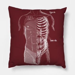 Anatomy Pillow