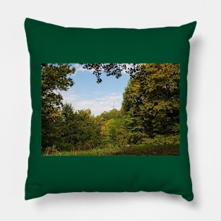 Woodland on Castle Hill, Ljubljana, Slovenia Pillow