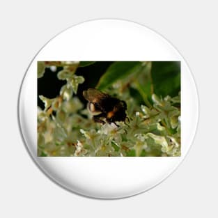 Bumble Bee Pin