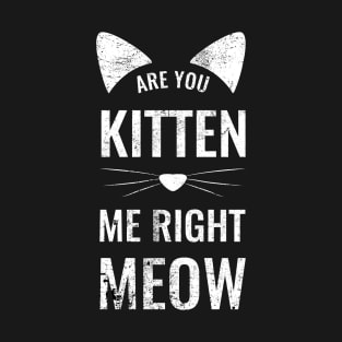 Are You Kitten Me Right Meow? Funny T-Shirt T-Shirt