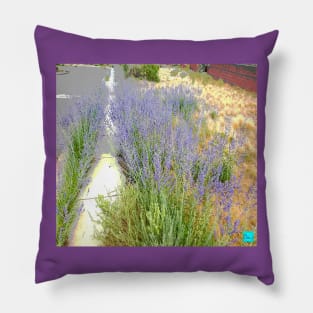 hyper lavender Pillow