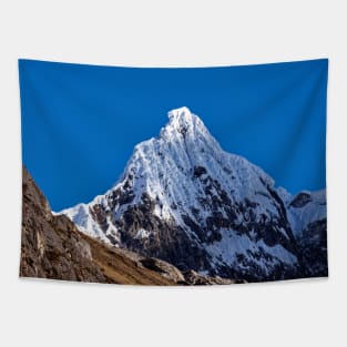 A savage Andes mountain Tapestry