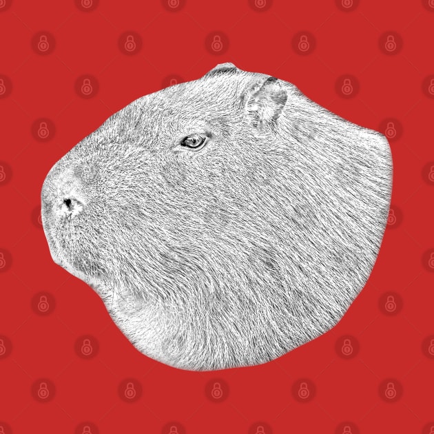 Capybara line drawing conversion by dalyndigaital2@gmail.com