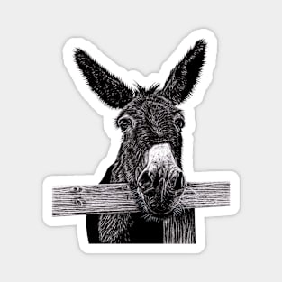Donkey illustration Magnet