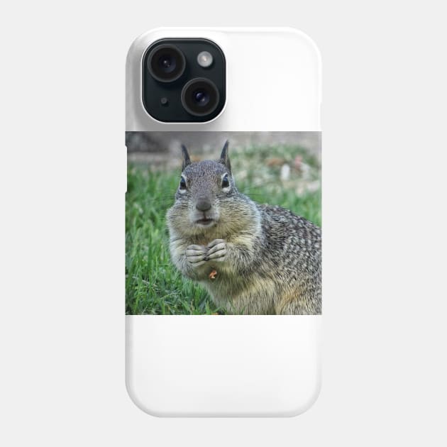 Caught in the act Phone Case by Photography_fan