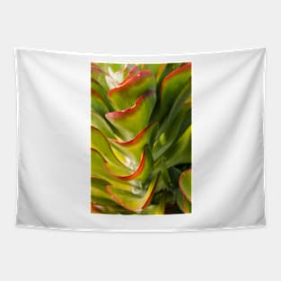 Succulent green beauty Tapestry