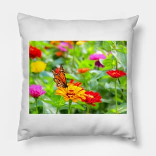 Monarch Butterfly on a flower Pillow