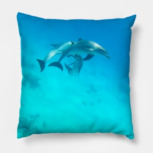 Dolphins Pillow