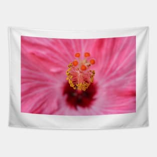 Pink Hibiscus Inner Beauty Tapestry