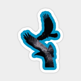 Save endangered birds Magnet