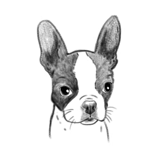 Boston Terrier sketch T-Shirt