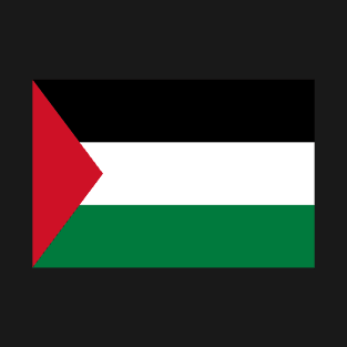 Palestine Flag T-Shirt