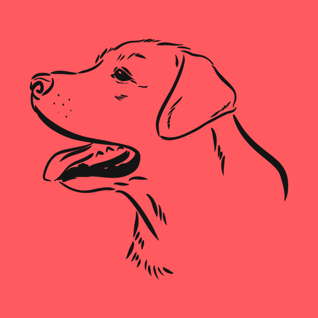 Labrador Retriever by rmcbuckeye