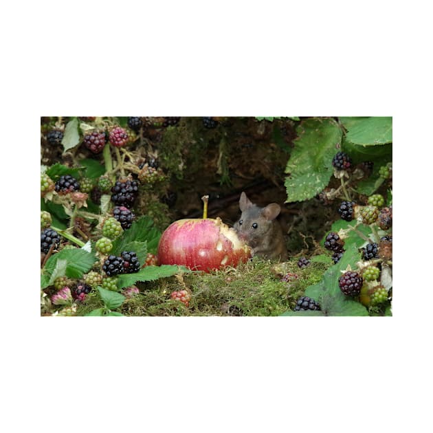 Mouse by the brambles with apple by Simon-dell