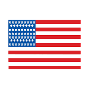 United States of America flag T-Shirt