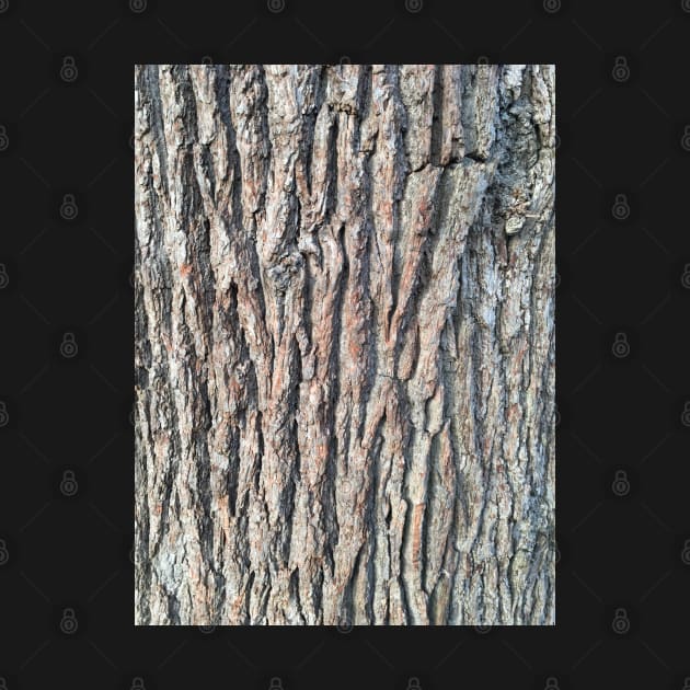 Bark - unknown #2 by Dpe1974