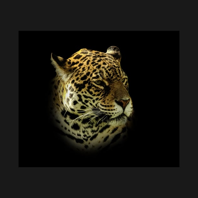 Jaguar portrait by Guardi