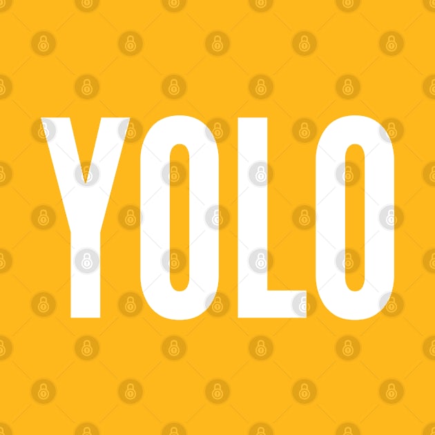 Pop Culture - YOLO - Funny Pop Culture Slogan by sillyslogans