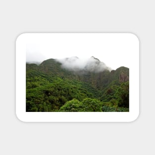 Iao Valley State Park Study 5 Magnet