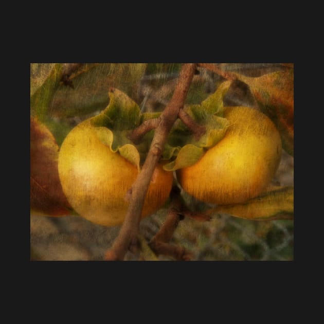 Persimmon Twins by AlexaZari