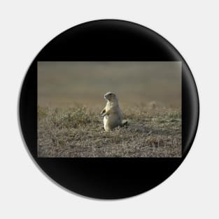 Prairie Dog Pin