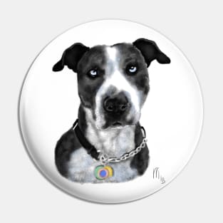 Black and White Pit Bull With Blue Eyes Pin