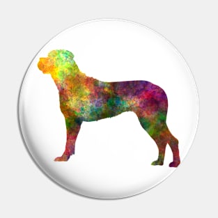 Italian Corso Dog  in watercolor Pin