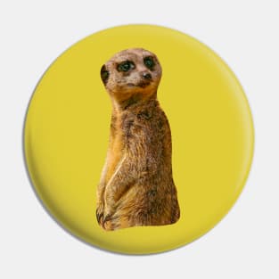 Meerkat Pin