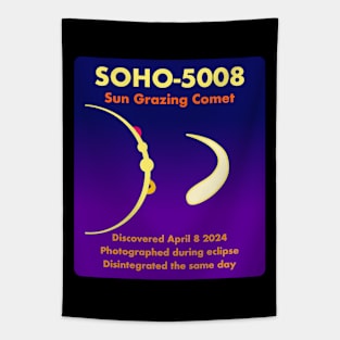 Remember SOHO 5008 the Sun Grazing Comet Tapestry