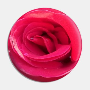 Morning Red Rose Pin