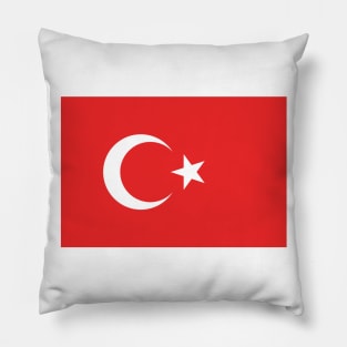 Turkey Pillow