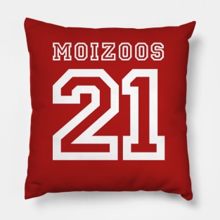 Moizoos Jersey Pillow