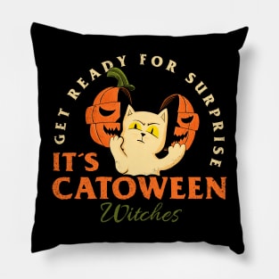 It´s Catoween Witches Pillow